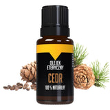 Bilovit Essential Oil Set, Forest - 3 Pieces