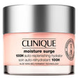 Clinique Moisture Surge 100H Hydrating Face Cream - 125 ml